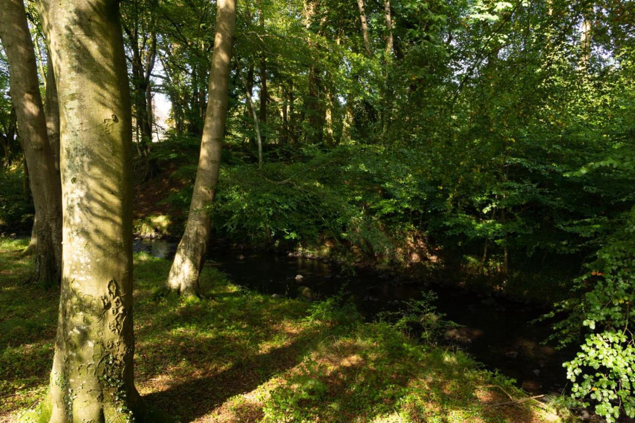 Millbrae Lodges Belfast Eksteriør billede
